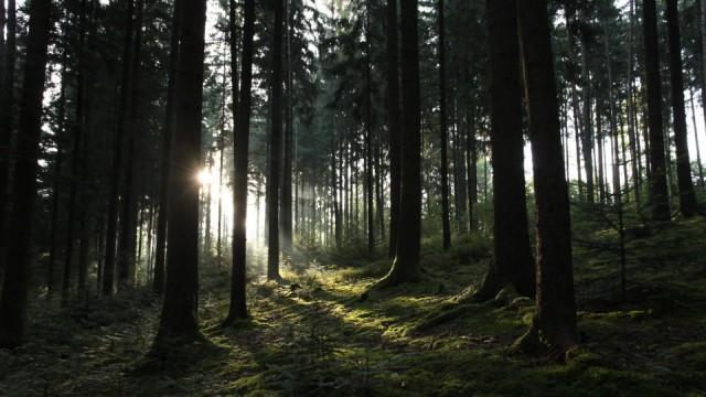 Wildes Deutschland - Der Schwarzwald