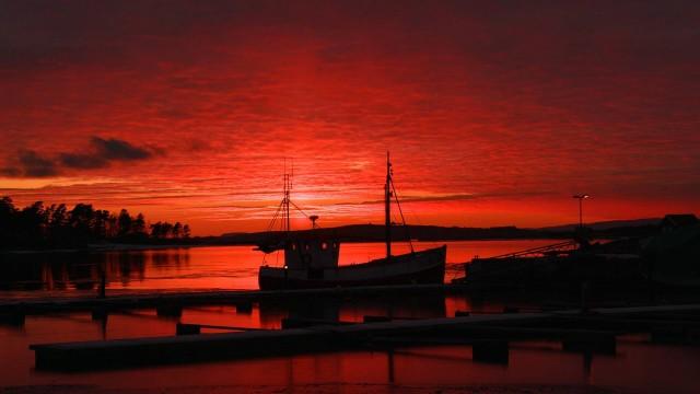 Skjæløy