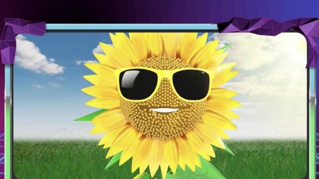 Calling All Funflowers!
