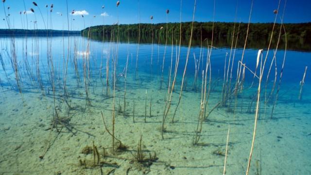 Wildes Deutschland - Der Stechlinsee