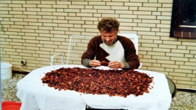 Bernstein aus der Kohlegrube - Der Schatz von Bitterfeld