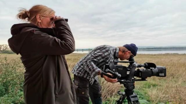 Vögel des Glücks - Kranichtreffen in Mitteldeutschland