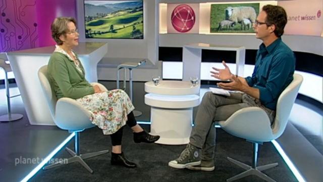 Irland – Idylle, Bauboom und Brexit