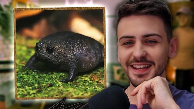 COMMENT NE PAS ÊTRE FASCINÉ ???