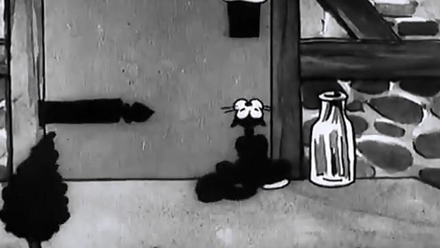 The Cat's Out