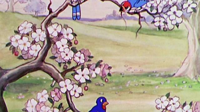 Birds in the Spring