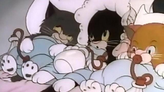 Three Orphan Kittens