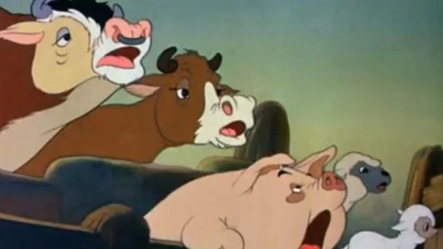 Farmyard Symphony