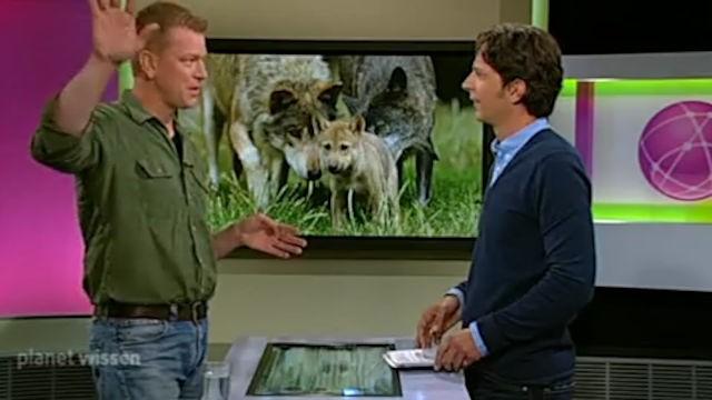 Ein Leben für den Wolf