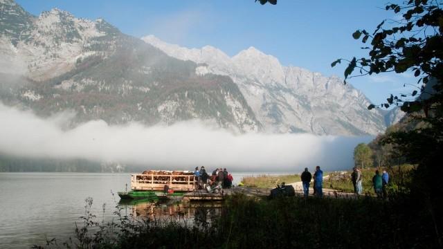 Wildes Bayern (5) Das erste Licht am Königssee