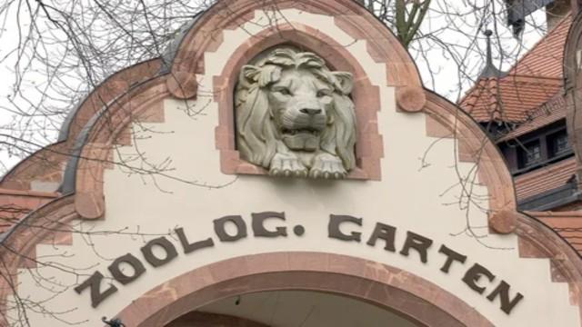 Das Gondwanaland in Leipzig - Urwald in der Großstadt