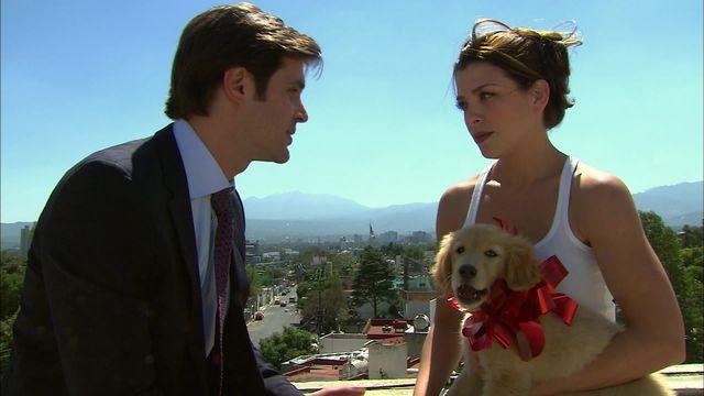 Braulio se da cuenta de que no está casado con Valeria