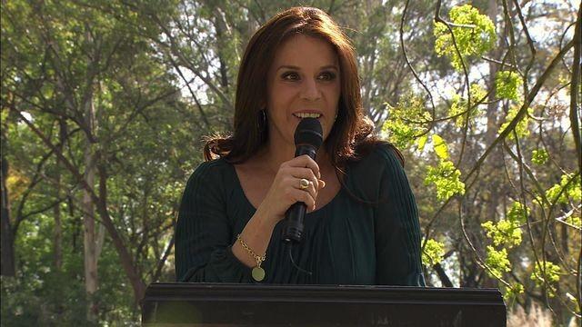 Capítulo Final: Triunfos