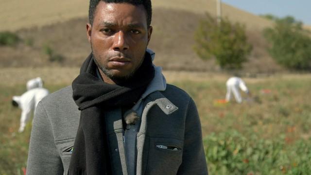 Modern Slavery in Italy