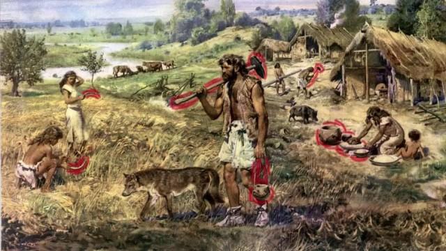 La hache polie, défricher le monde