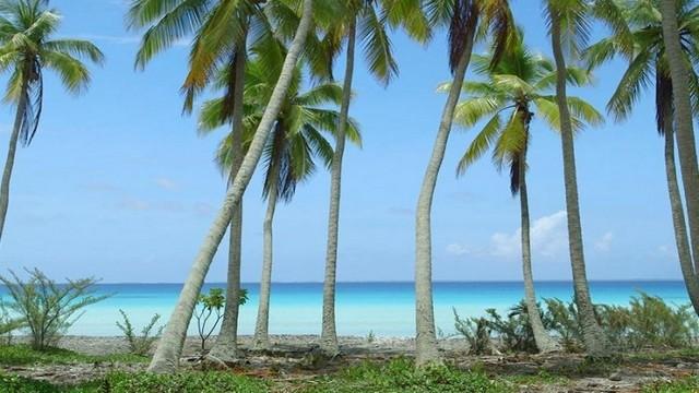 Tahiti, l'invention du paradis