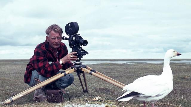 Heinz Sielmann - Der Tierfilm-Pionier wird 100!