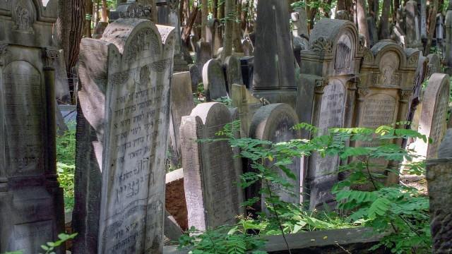 Überleben im Holocaust – Geheimen Verstecken auf der Spur