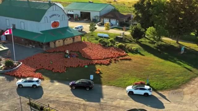 Harvest Picnic