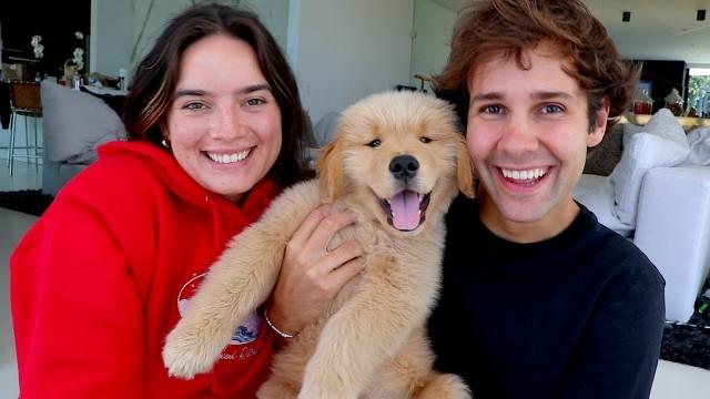 SURPRISING BEST FRIEND WITH PUPPY!! (FREAKOUT)