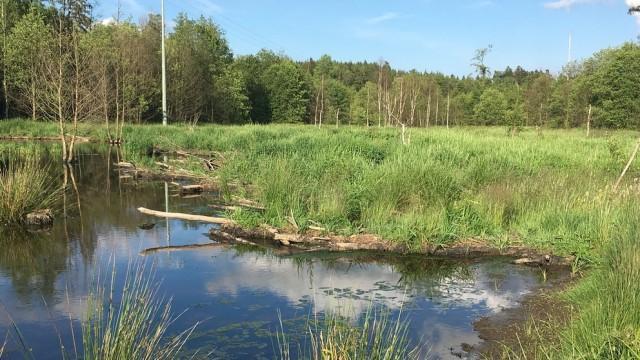 Fichtelgebirge - Bayerns wilder Norden