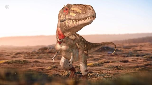 Where Are All the Medium-Sized Dinosaurs?