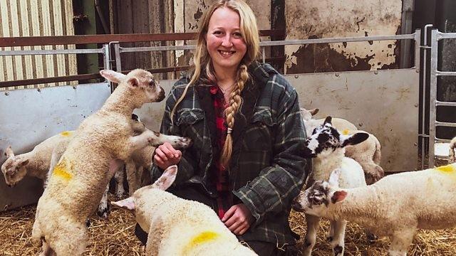 Lambing Life