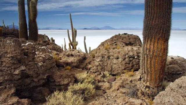 Die Anden - Natur am Limit (2) Wüstes Hochland
