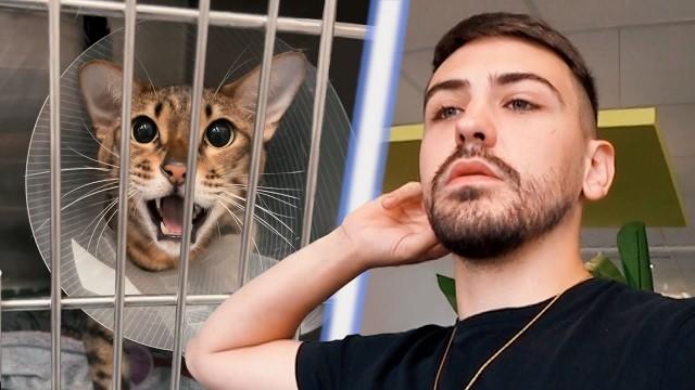 MON CHAT NEVADA A EU UN PROBLÈME... #VLOAT 4