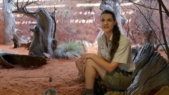 Bilby Release
