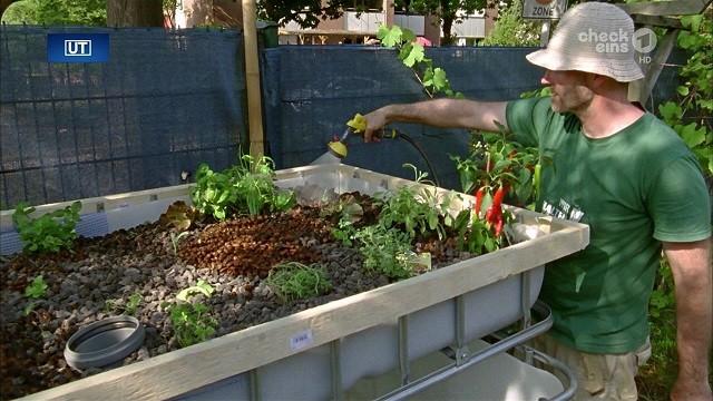Aquaponik|Zwei-Minuten-Märchen: Der Wunschfisch|   Urban Gardening|   Shaun das Schaf: Ernte gut, alles gut