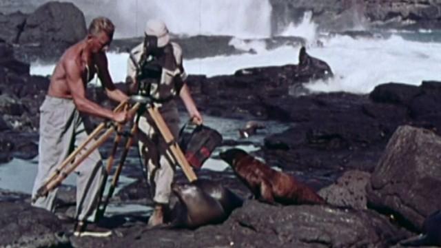 Das Beste aus Expeditionen ins Tierreich