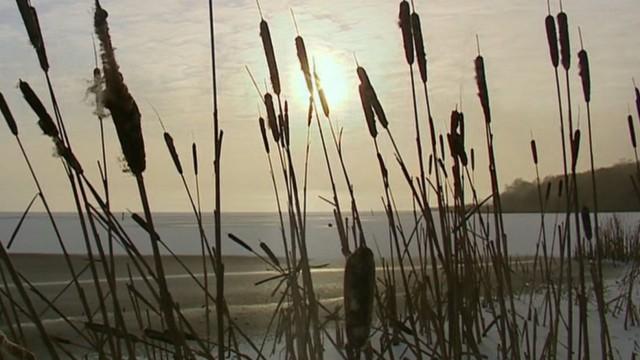 Das Steinhuder Meer - Niedersachsens Naturoase