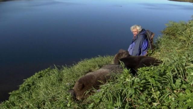 Der Bärenmann in Kamtschatka