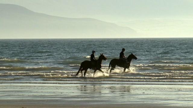Die Delfinflüsterin - Vor Irlands wilder Küste