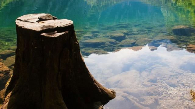 Wildes Deutschland - Unbekannte Tiefen (1)