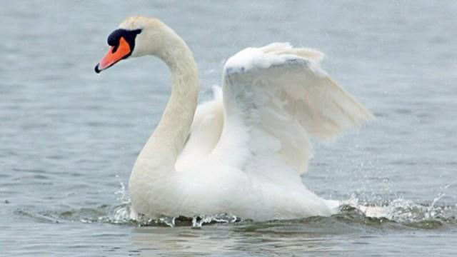 Europa - ungezähmt (3) Meere, Seen, Flüsse