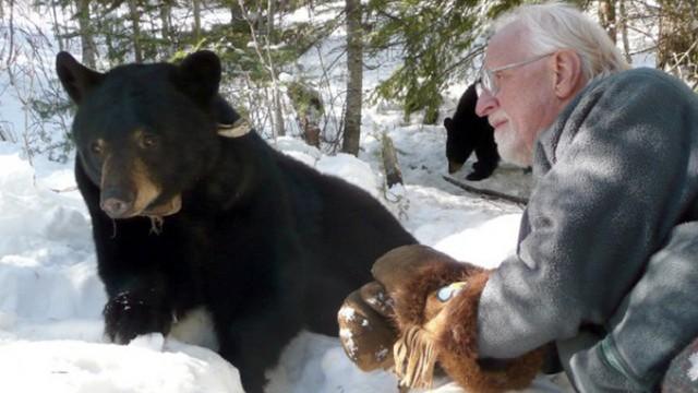 Lynn - Der Freund der Bären