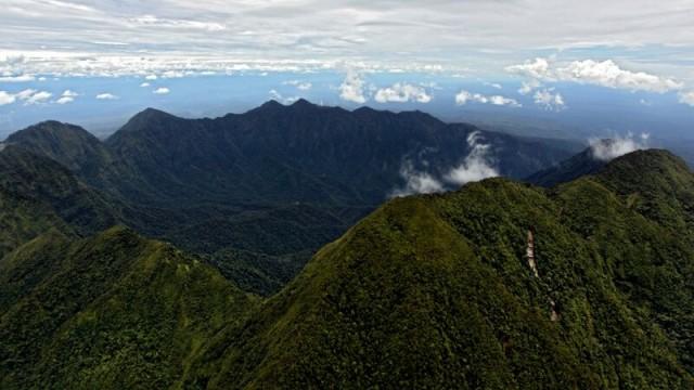 Expedition Neuguinea (1) - Pythons und Paradiesvögel