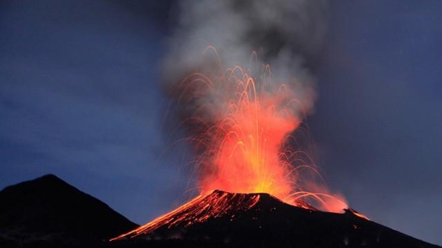 Expedition Neuguinea (3) - Baumkängurus und Thermometerhühner
