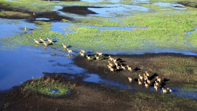 Der Sambesi (2) - Der donnernde Fluss