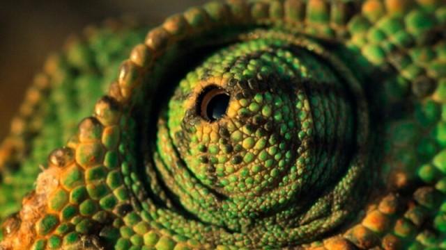 Europa - ungezähmt (5) Der trockene Süden