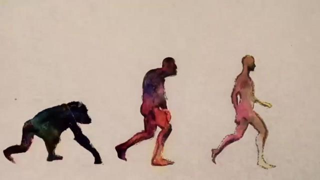 Sommes-nous de plus en plus bêtes ?