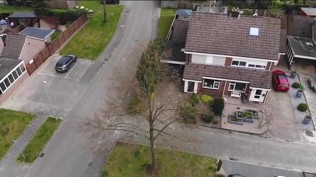 Geen vrinden met de linde