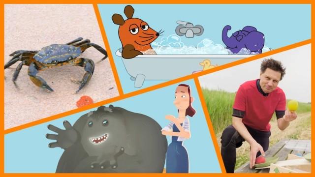 Wie laufen Krebse?|Trudes Tier: Waschtag|Blobben mit André|Shaun das Schaf: Bad mit Tücken