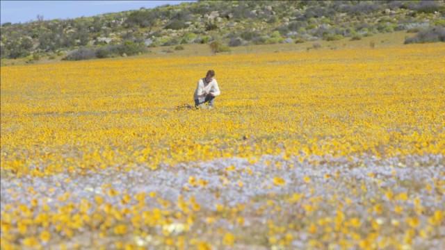 L'abominable mystère des fleurs