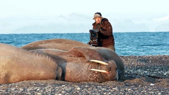 Der auf die Tiere wartet - Jan Haft