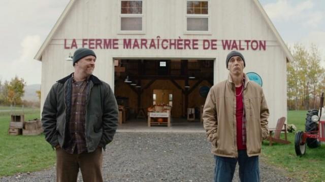 Bilan
