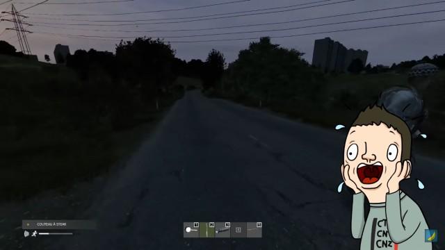 UN DÉTRAQUÉ NOUS POURSUIT DANS LA FORÊT (DayZ RP)