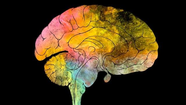 Can We Trust Ourselves?